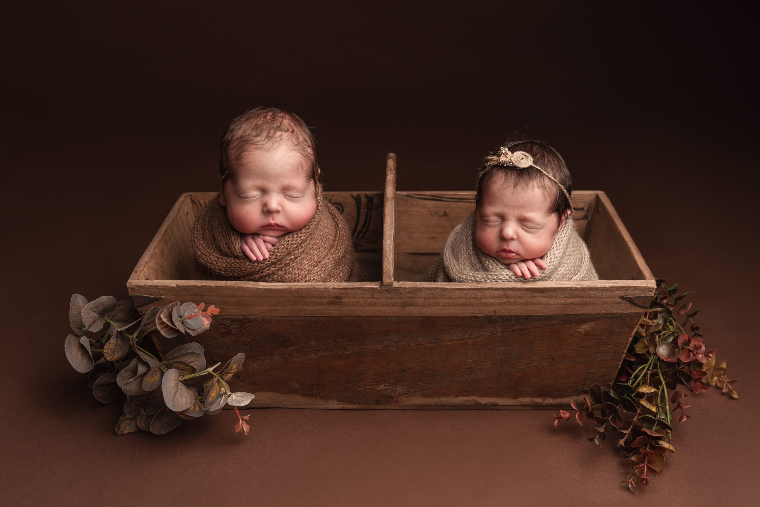 twin baby newborn photography swansea